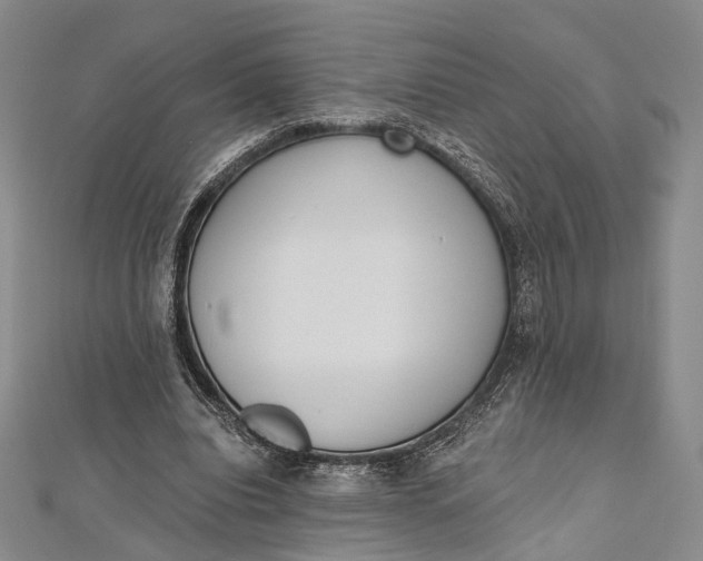 X0000112500440200908311455