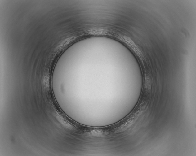 X0000112500441200908311455