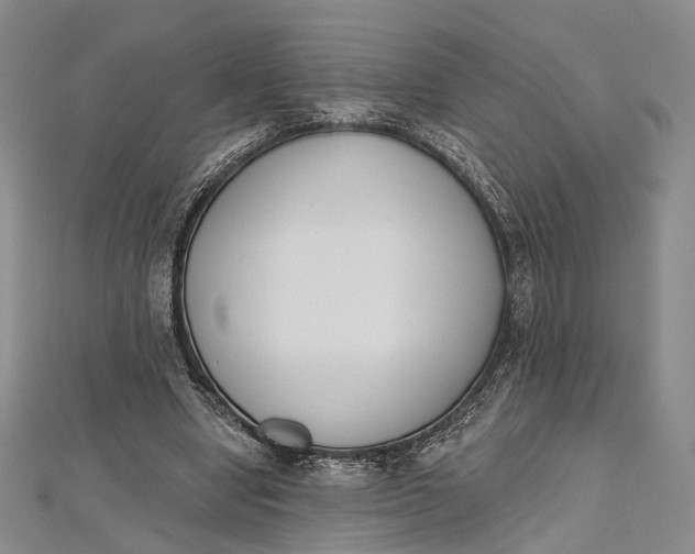 X0000112500442200908311455