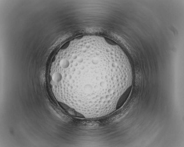 X0000112500443200908311455