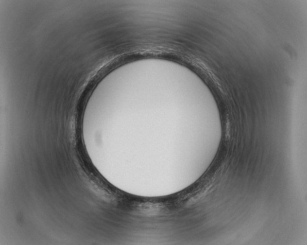 X0000112500444200908311455