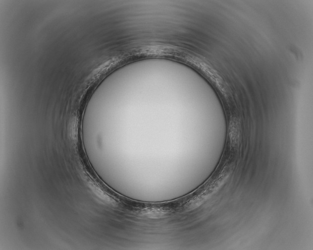 X0000112500445200908311455