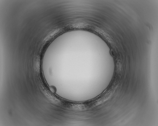 X0000112500446200908311455