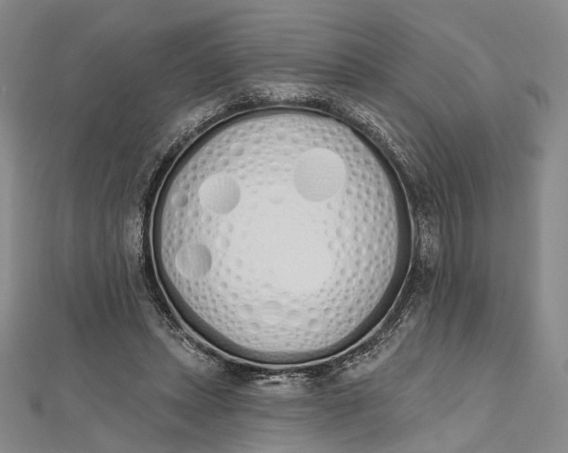 X0000112500447200908311455