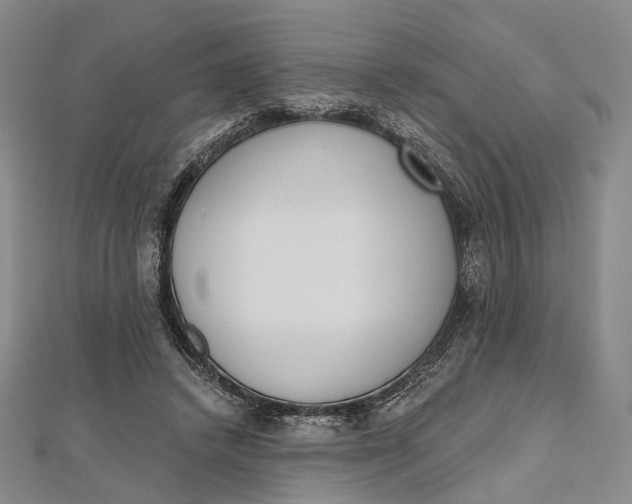 X0000112500448200908311455