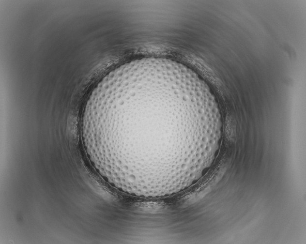 X0000112500449200908311455