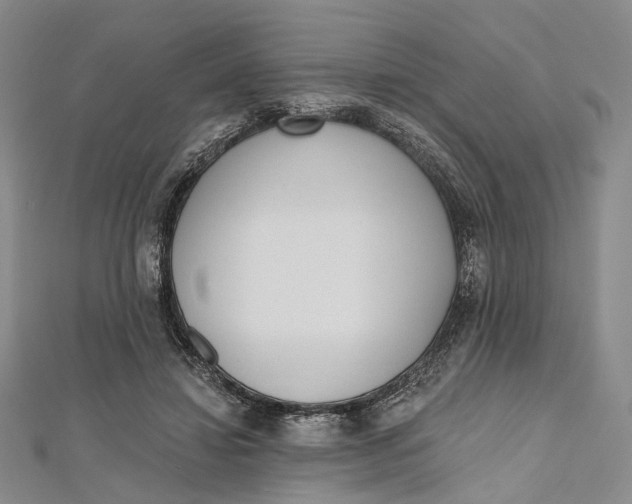 X0000112500452200908311455