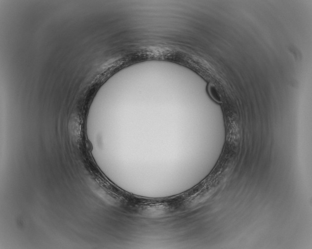 X0000112500456200908311455