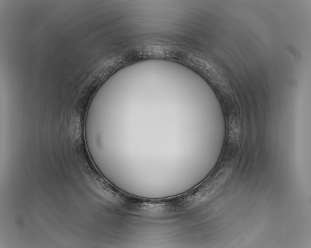 X0000112500457200908311455