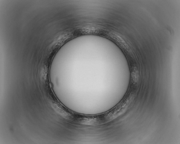 X0000112500458200908311455