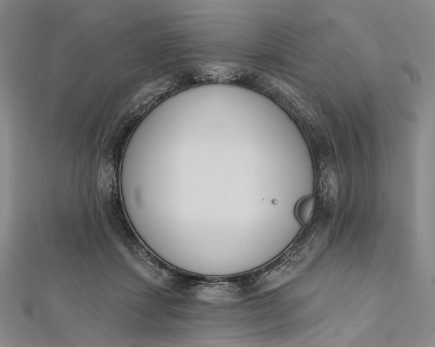 X0000112500459200908311455