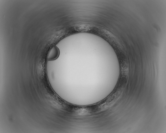 X0000112500460200908311455