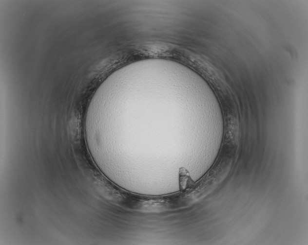 X0000112500461200908311455