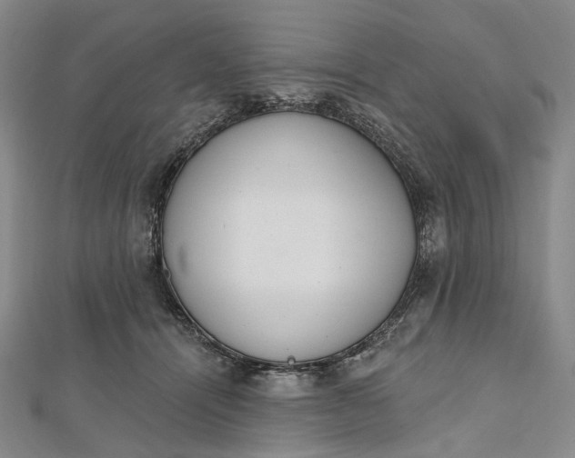 X0000112500464200908311455