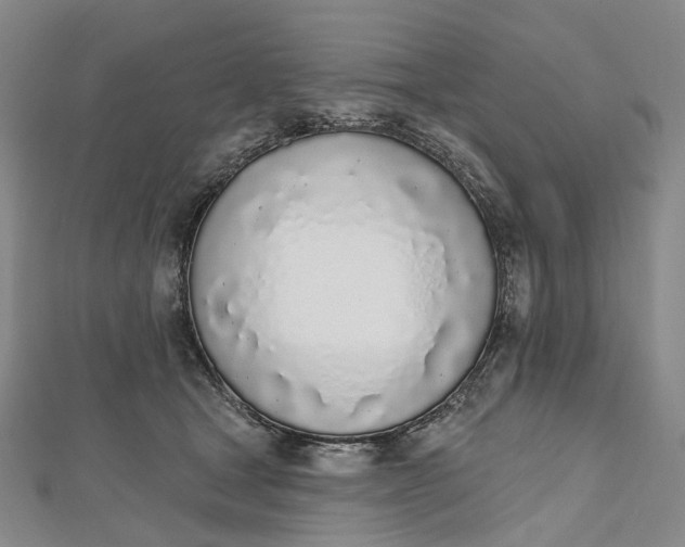 X0000112500465200908311455