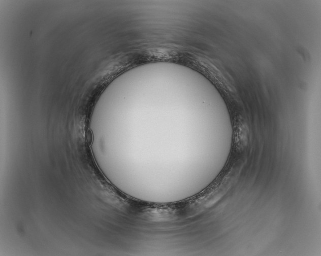 X0000112500466200908311455