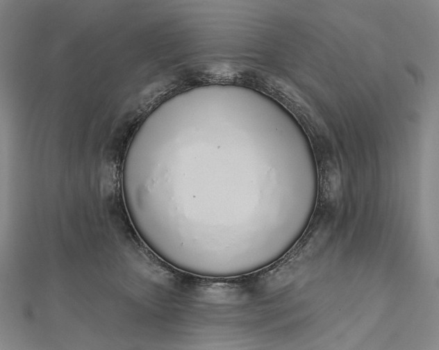 X0000112500467200908311455