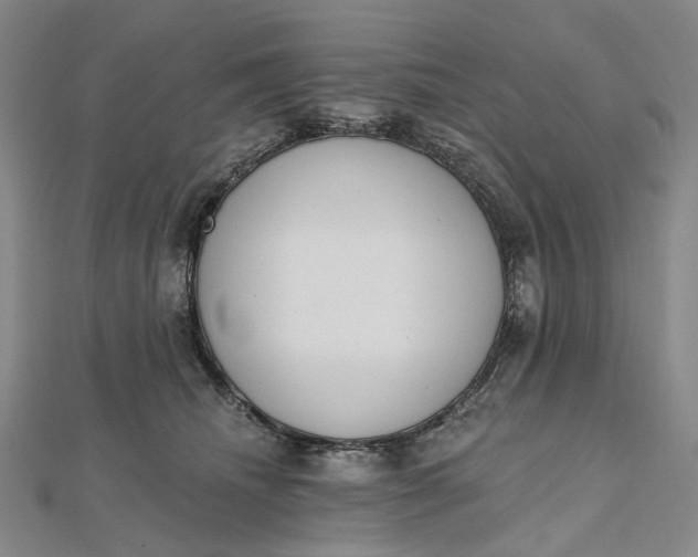 X0000112500468200908311456