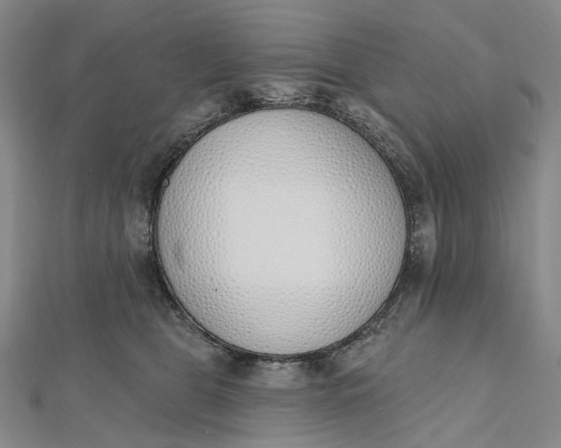 X0000112500469200908311456