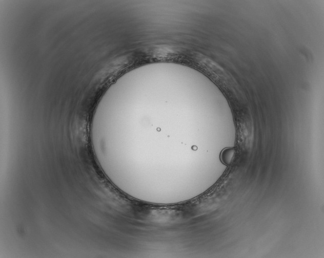 X0000112500470200908311456