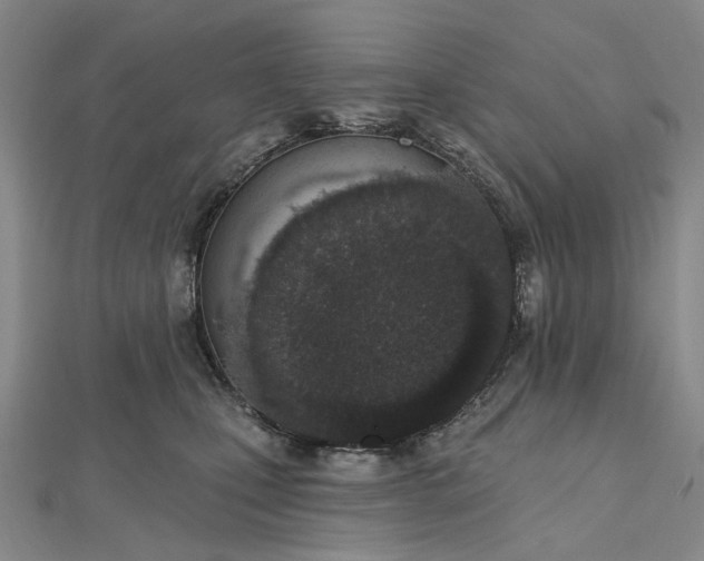 X0000112500471200908311456