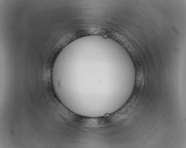 X0000112500473200908311456