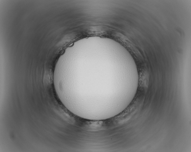 X0000112500474200908311456