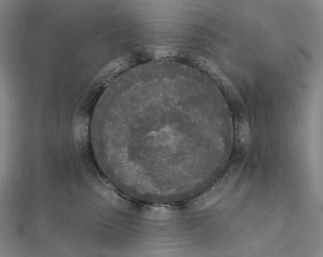 X0000112500475200908311456