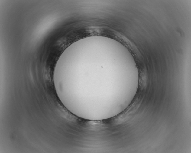 X0000112500477200908311456