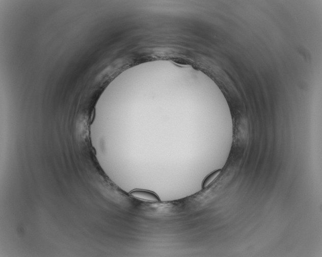 X0000112500478200908311456