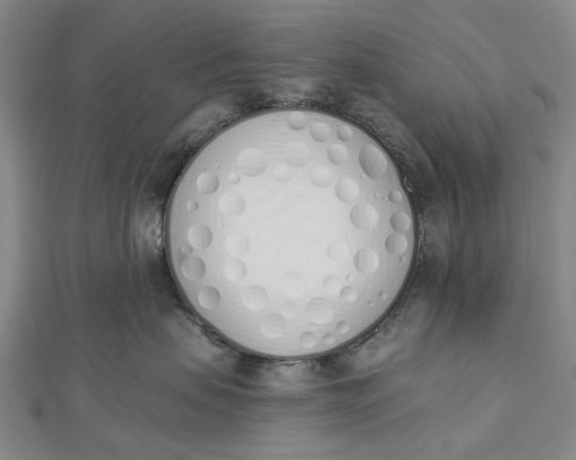 X0000112500479200908311456