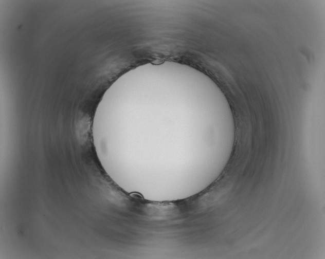 X0000112500480200908311456