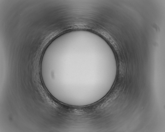 X0000112500481200908311455