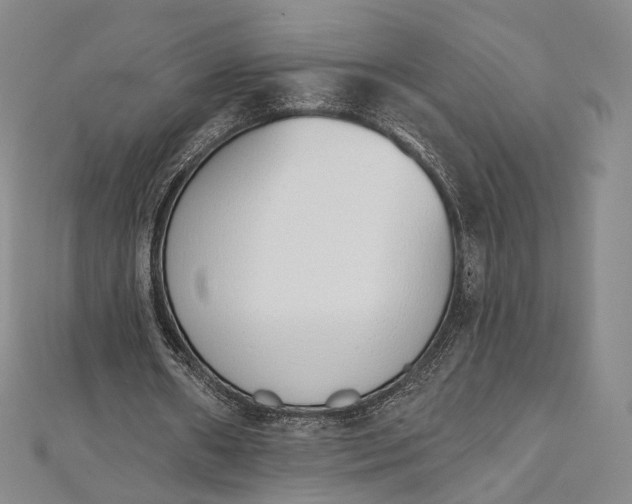 X0000112500482200908311455