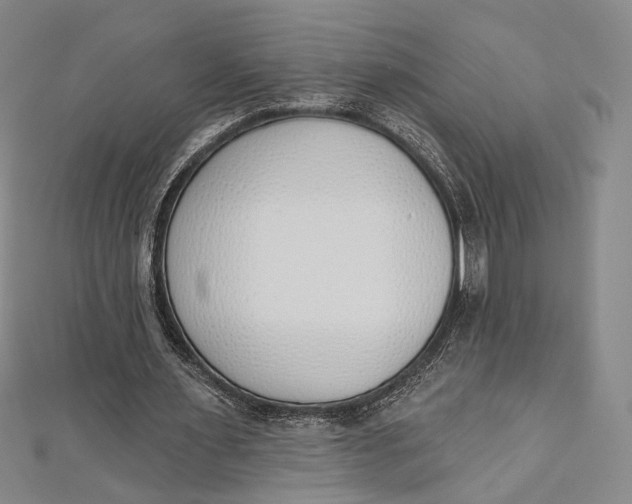 X0000112500483200908311455