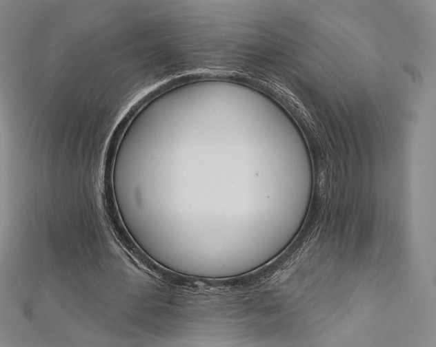 X0000112500484200908311455