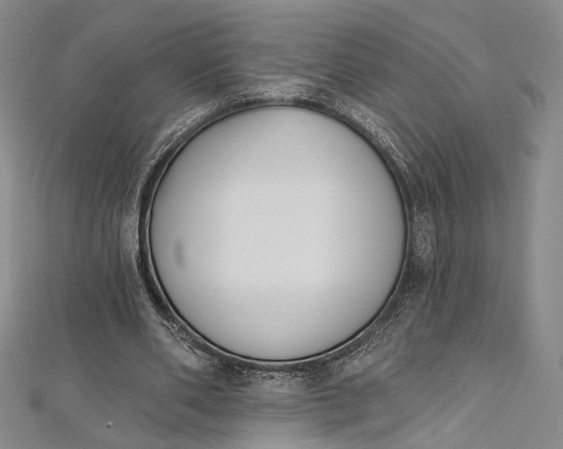 X0000112500486200908311455