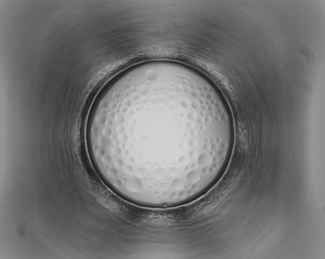 X0000112500487200908311455