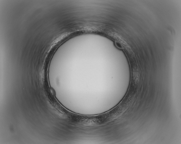 X0000112500488200908311455