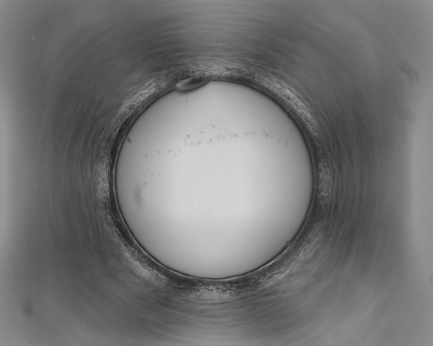 X0000112500489200908311455