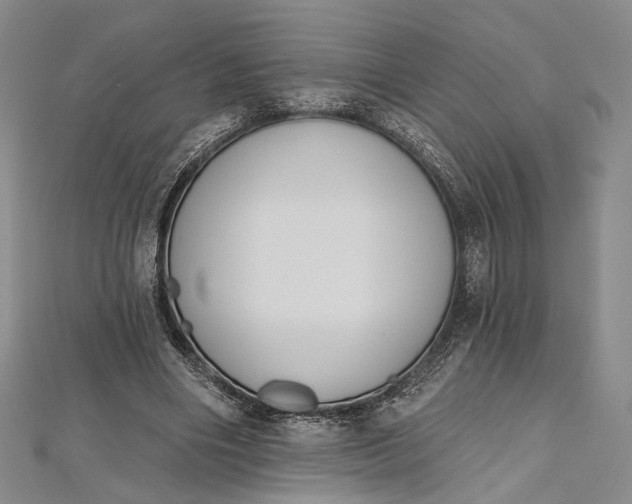 X0000112500490200908311455