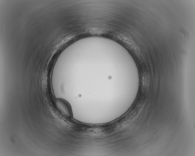 X0000112500492200908311455