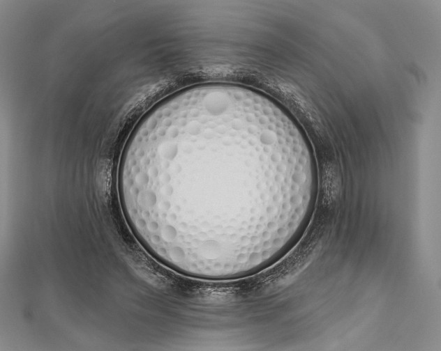 X0000112500495200908311455