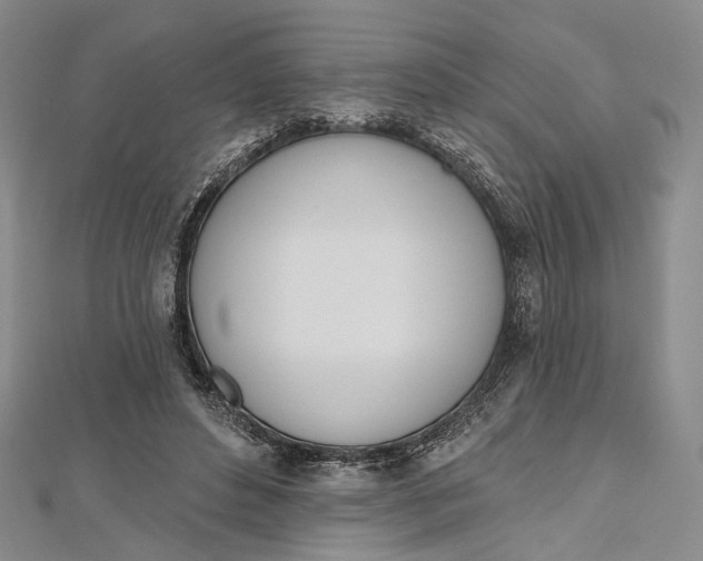 X0000112500496200908311455