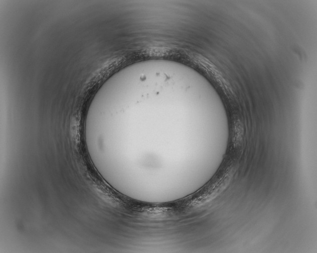 X0000112500497200908311455