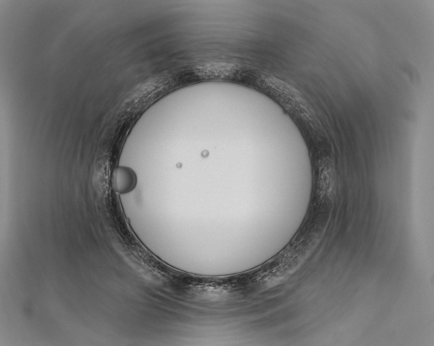 X0000112500498200908311455