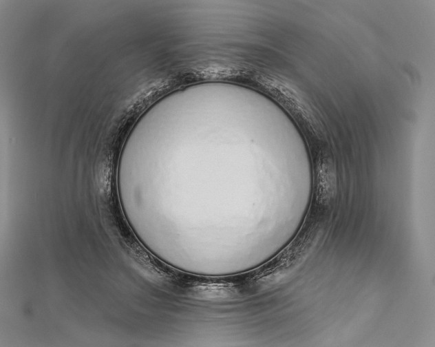 X0000112500499200908311455