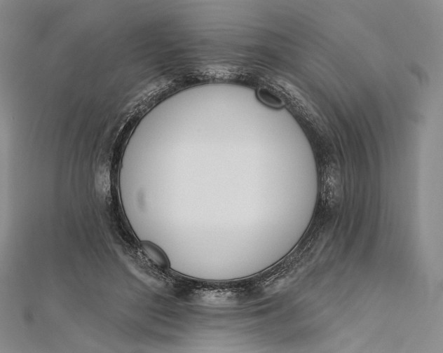 X0000112500500200908311455