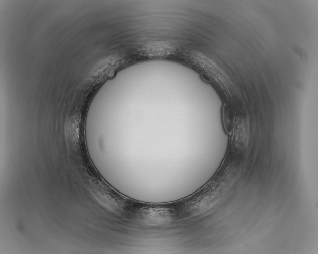 X0000112500501200908311455