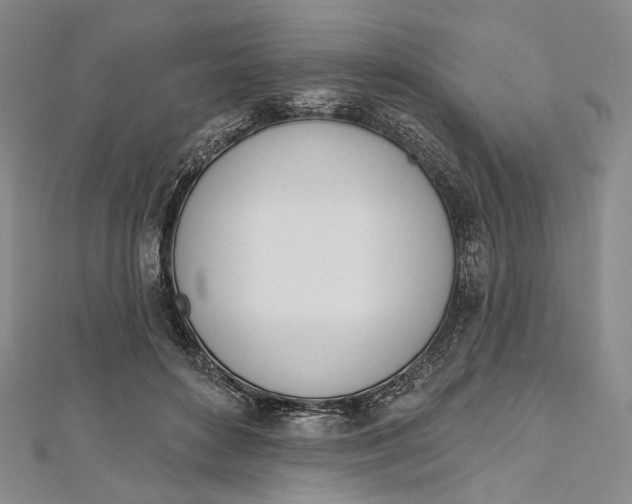 X0000112500504200908311455